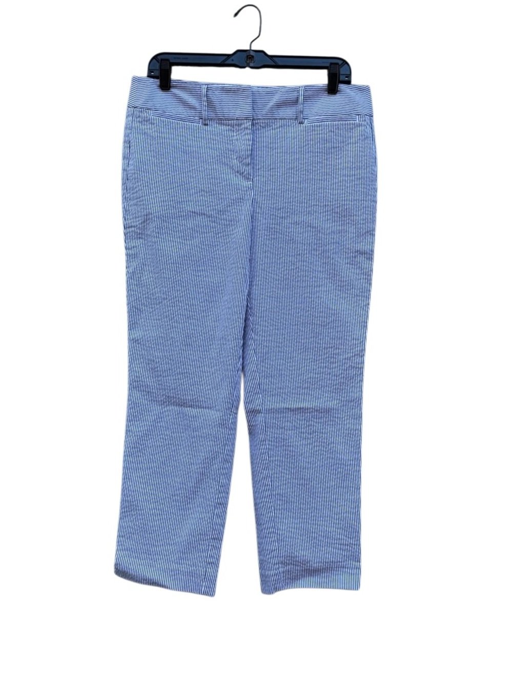 Ann Taylor Women's Signature Searsucker Blue Pants Size 8